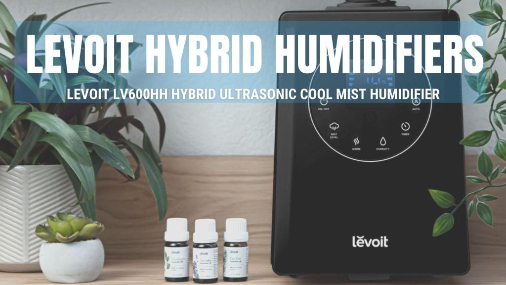 Top-rated cool mist humidifier for large room- levoit lv600hh hybrid ultrasonic cool mist humidifier