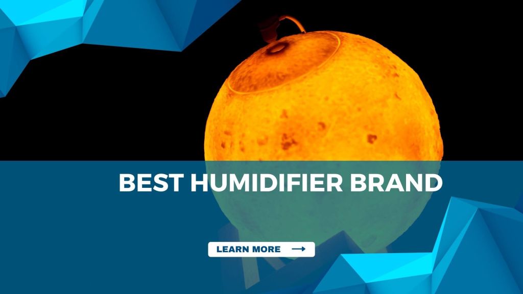 Best Humidifier Brands Reviews